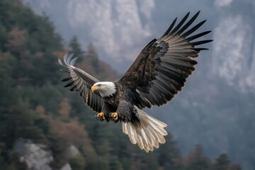Obraz premium A bald eagle glides gracefully through the sky with its wings fully spread and sharp talons ready. In the background, a majestic mountain range dominates the scenery, showcasing nature's beauty