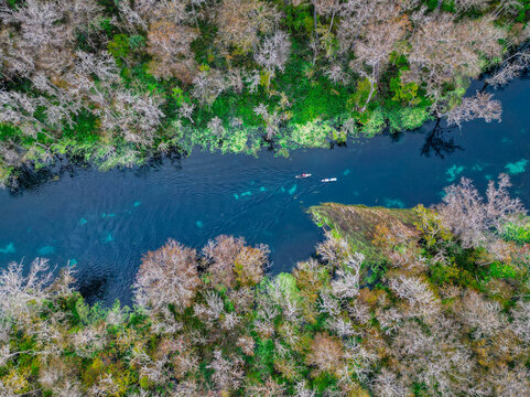 Paddlers on Silver River, Florida