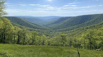 Lush Green Mountain Valley Scenic View