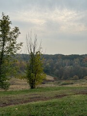 The creative world through my eyes.
Творческий мир моими глазами.