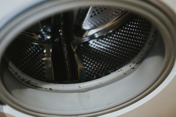 Mold on the rubber drum of a washing machine close-up in the laundry room. Cleaning required