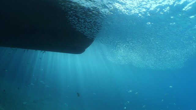  underwater under the boat fish around slow relaxing ocean scenery 