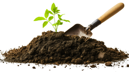 Eco-Friendly Gardening Tools for Planting Seedlings in Healthy Soil