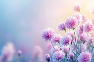 Pastel pink flowers in soft-focus field.