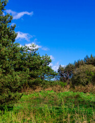 Nature of northern Poland. Stunning landscape.