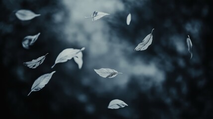 Falling Leaves in a Dark Forest Scene