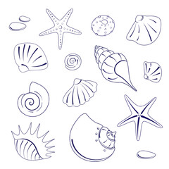 Set of seashells and starfishes on a white background. Vector illustration in the style of minimalism of marine fauna. Vector eps 10