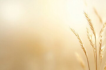 Soft golden grass sways gently, creating serene atmosphere of tr