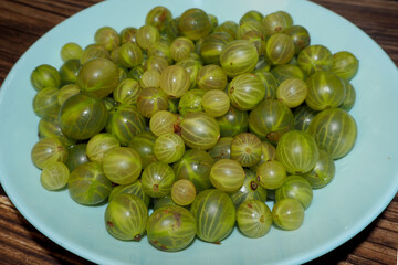 close up green gooseberry in blue plate . summer berry