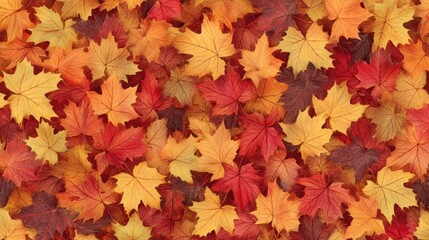 Autumn Leaves Colorful Fall Foliage Background