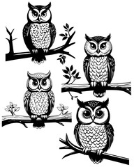 Four black and white owls illustration on transparent background