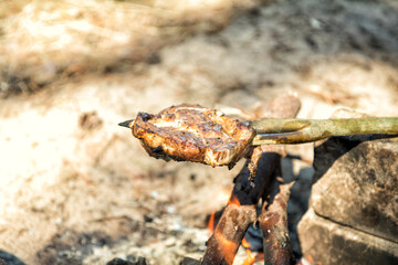 Grilling piece of meat on wooden stick over campfire outdoors