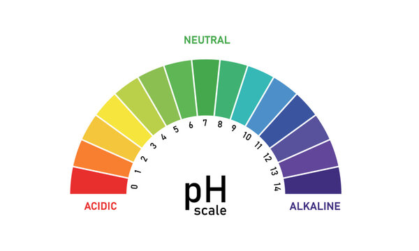 pH Scale Chart. Color Indicator for Acid and Alkaline Levels PNG