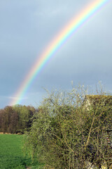 Naklejka premium multi-colored rainbow in the sky