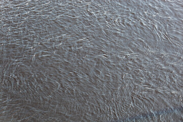 Water texture with light ripples on the surface. Calm water with small waves and light reflections creating an interesting visual effect. Background, texture or design element.