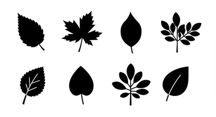Silhouette collection of various leaf shapes for design and decoration