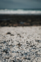 Fuerteventura, île Canarie