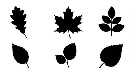 Set of six silhouette leaves: maple, oak, laurel, birch, and more