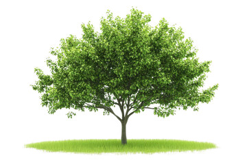 Obraz premium Lush Green Tree Stands on Vibrant Patch of Grass, Serene Nature Beauty. Green Environment.