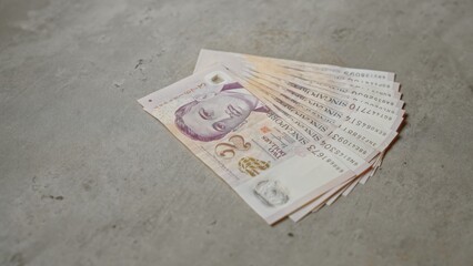 Singapore dollars banknotes arranged on a concrete surface, highlighting the country's currency and its design details. © Krakenimages.com