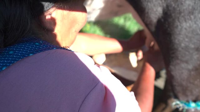 orde&ntilde;ando leche 