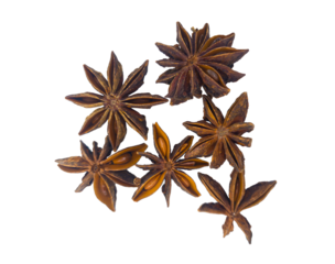 Close-up of star anise without background. A spice with star anise and a rich flavor. Badian. For cooking blogs, recipes, articles about spices and spices, and in materials related to natural ingredie