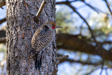 bird on tree