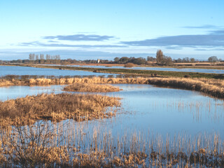 Fototapeta premium Wetland habitat and blue sky, North Yorkshire, England