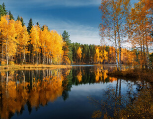 Obraz premium Autumn leaves in vibrant shades of gold and orange overhang a calm river, their reflection mirrored in the still water. 