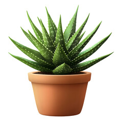 Aloe Vera Plant in Pot, Fresh and Green, Natural Healing Herb, Isolated on Transparent Background