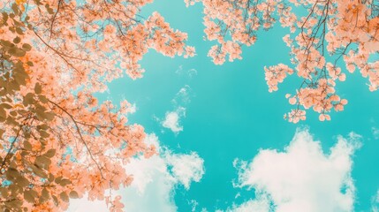 Peach-toned blossoms frame a vibrant blue sky with fluffy clouds, creating a cheerful, spring-like scene.