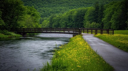 Wooden bridge over calm river, path beside vibrant wildflowers and lush green forest.