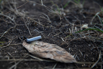 Close-up of a discarded cigarette butt lying on the ground near a dry leaf, 
highlighting the issue of environmental pollution.