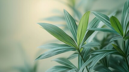 Fototapeta premium Sunlit Indoor Plant with Lush Green Leaves and Soft Background for Wellness Ads
