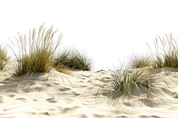 Realistic High-Resolution Sand Dunes with Coastal Grass – Natural Beach Landscape Illustration