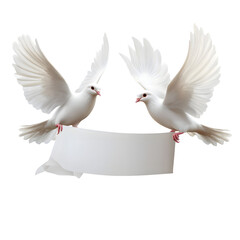 Obraz premium Two White Doves Holding a Blank Scroll Banner, Symbol of Peace and Freedom, Isolated on Transparent Background