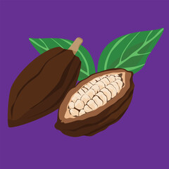 cocoa fruit fresh flat design fruit exotic and fresh fruits