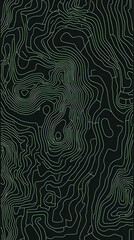 Abstract Topographic Contour Lines Form an Intricate Pattern on a Dark Background