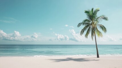 Obraz premium Serene Beach Landscape with Single Palm Tree and Turquoise Sea