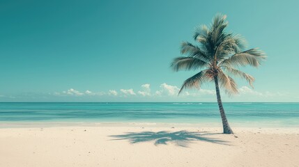 Obraz premium Serene Tropical Beach with Palm Tree and Shimmering Ocean Waves