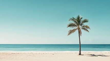 Fototapeta premium Serene Tropical Beach with a Single Palm Tree and Calm Sea