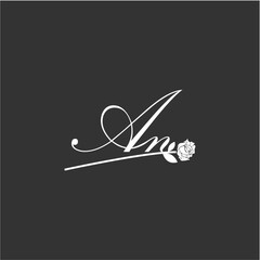 Initial AN art illustration flower design creative