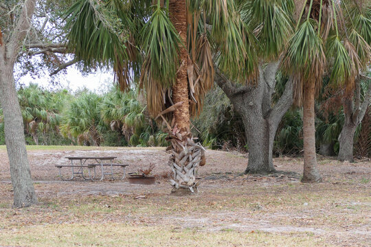 Picnic Table for camping in a Florida RV Park