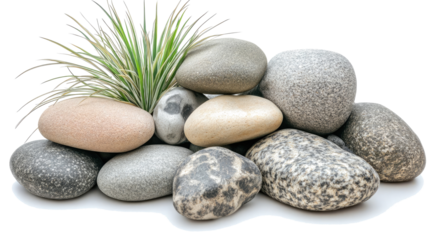 Decorative Stones and Plants for Landscaping Designs Generative AI