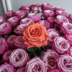 A stunning display of roses in various shades of pink, with a vibrant orange rose standing out in the center, creating a beautiful contrast that captures the essence of nature's be