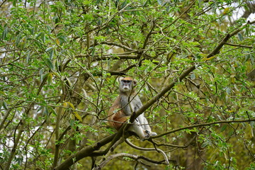 Seattle Zoo