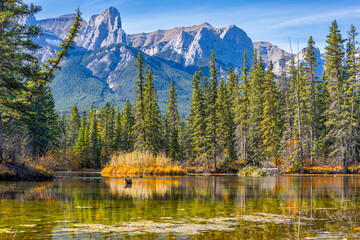 Swamp in the forest with mountains peaks in the background