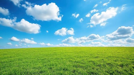 Obraz premium Sunny day, green field, blue sky, fluffy clouds, idyllic landscape, nature background, peaceful scene, perfect for travel brochures