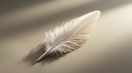 A single beige feather gently placed in a beam of light, casting a stunning shadow on a dark background. A soft, poetic image symbolizing freedom, lightness, and grace.

