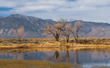 Panoramic view of scenic Sierra Nevada mountains near Bishop in California.